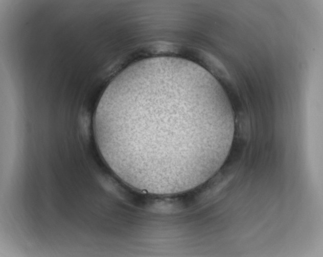 X0000111390550200907311116