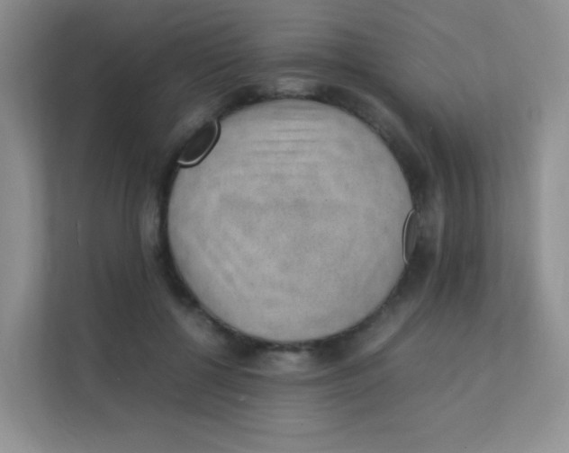 X0000111390552200907311116