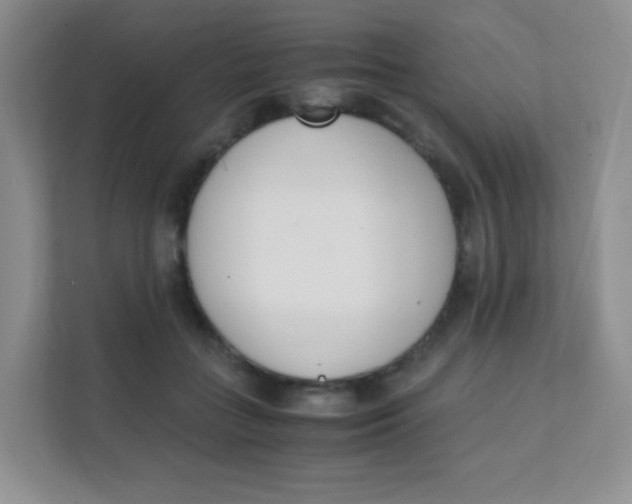 X0000111390555200907311116