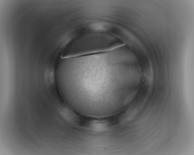 X0000111390556200907311116