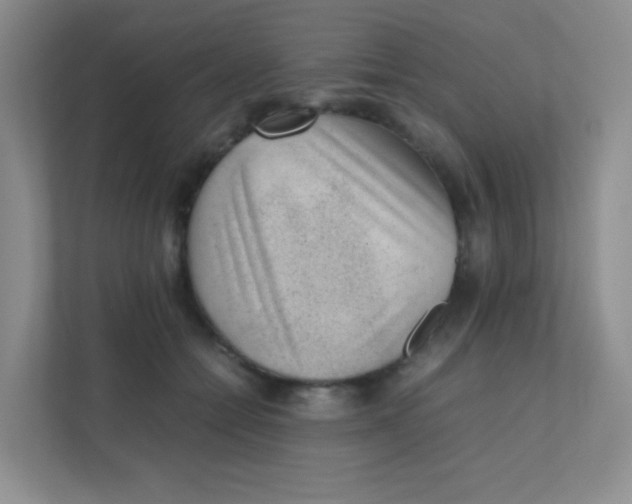 X0000111390558200907311116