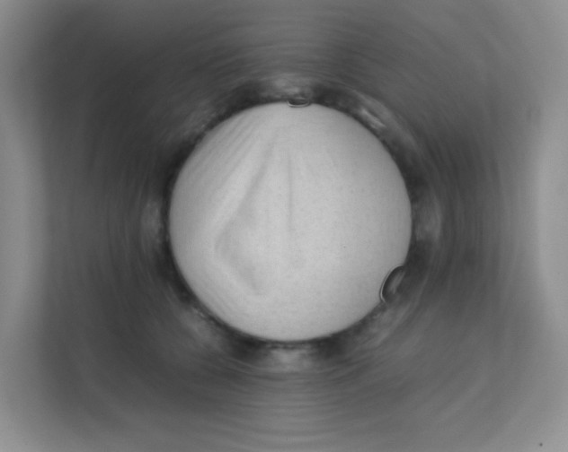 X0000111390560200907311116