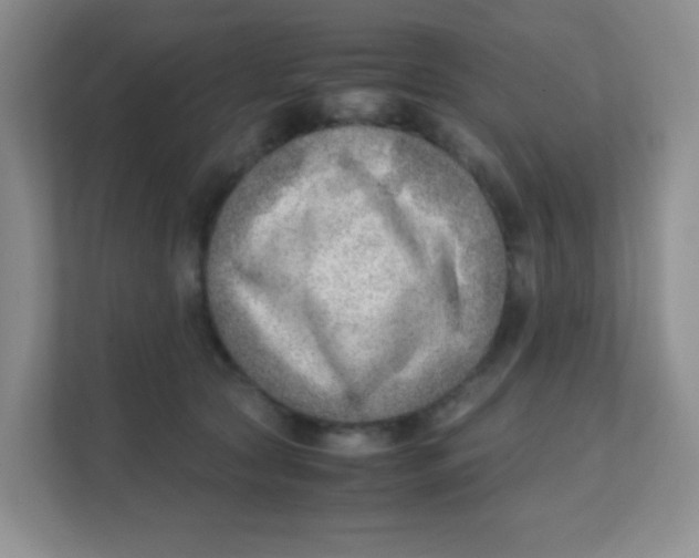 X0000111390561200907311116