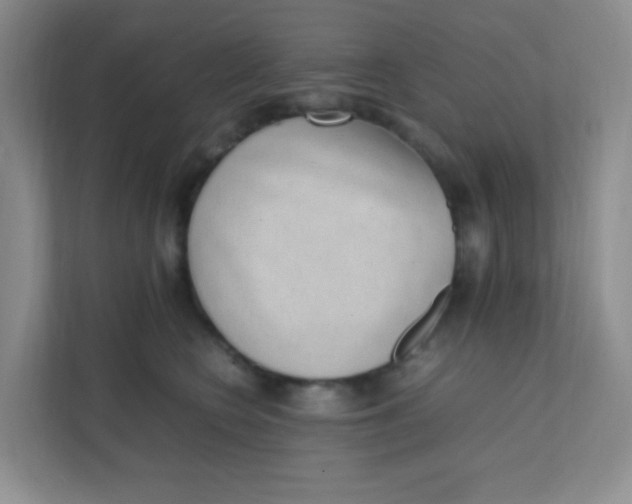 X0000111390566200907311116