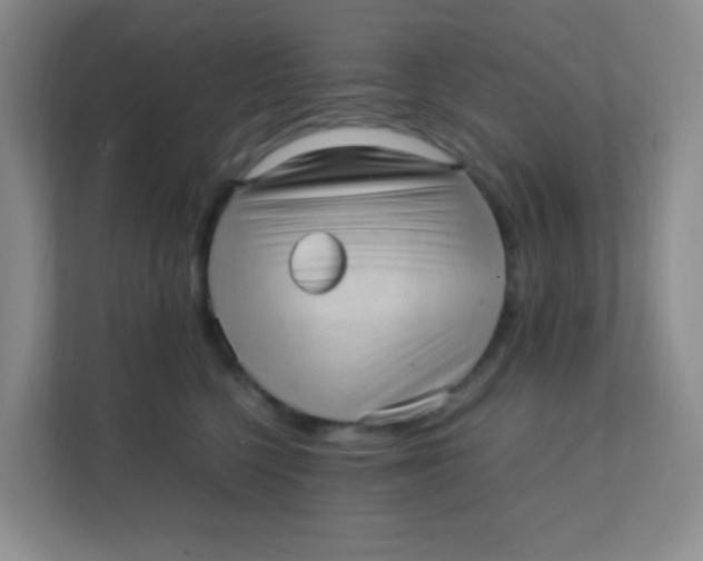 X0000111390568200907311116