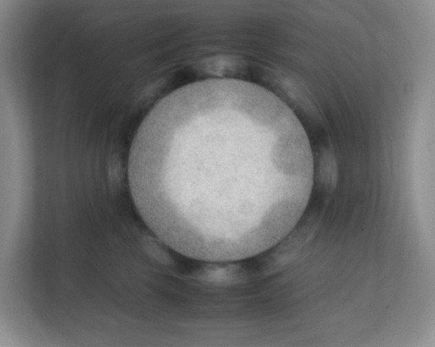 X0000111390569200907311116