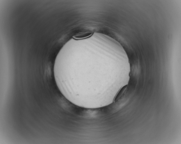 X0000111390570200907311116