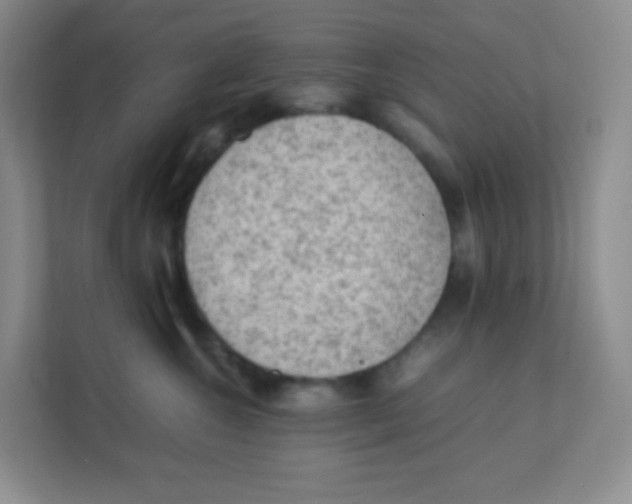 X0000111390572200907311116