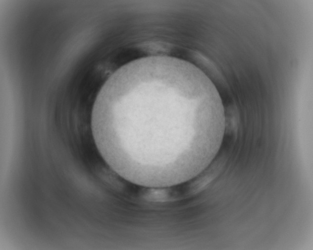 X0000111390573200907311116