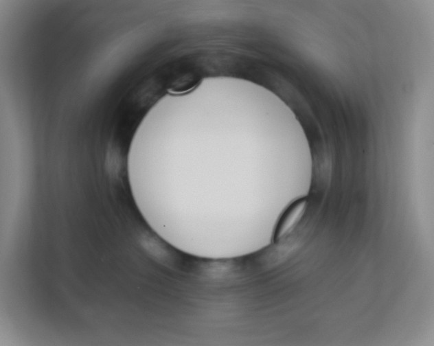 X0000111390574200907311116