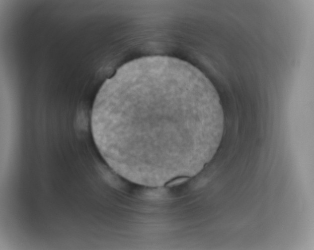 X0000111390576200907311116