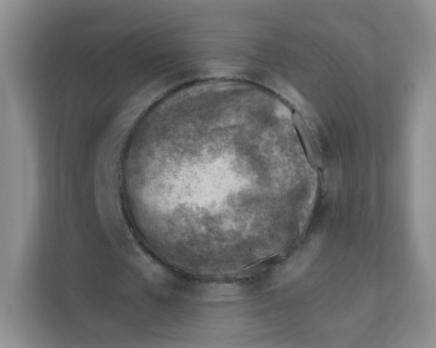 X0000111390577200907311115