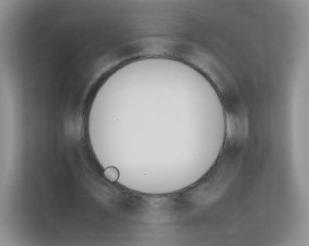 X0000111390579200907311115