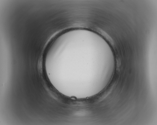 X0000111390580200907311115