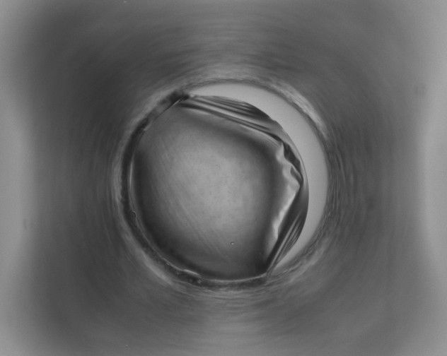 X0000111390581200907311115