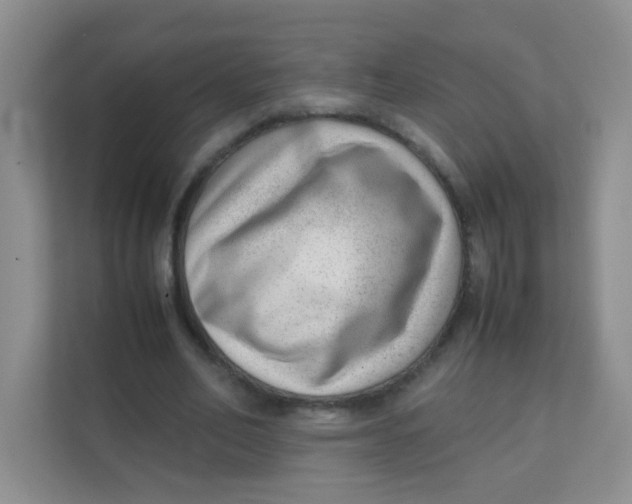 X0000111390582200907311115