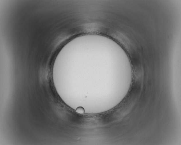 X0000111390583200907311115