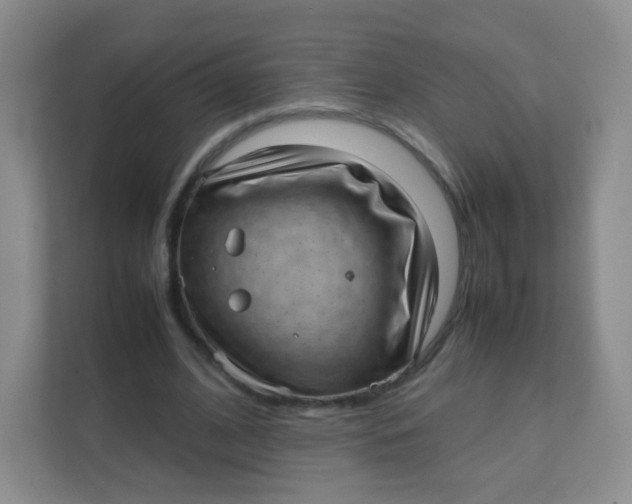 X0000111390584200907311115