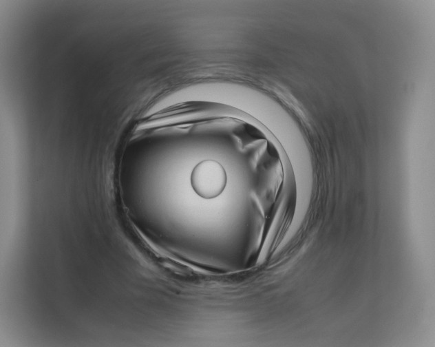 X0000111390585200907311115