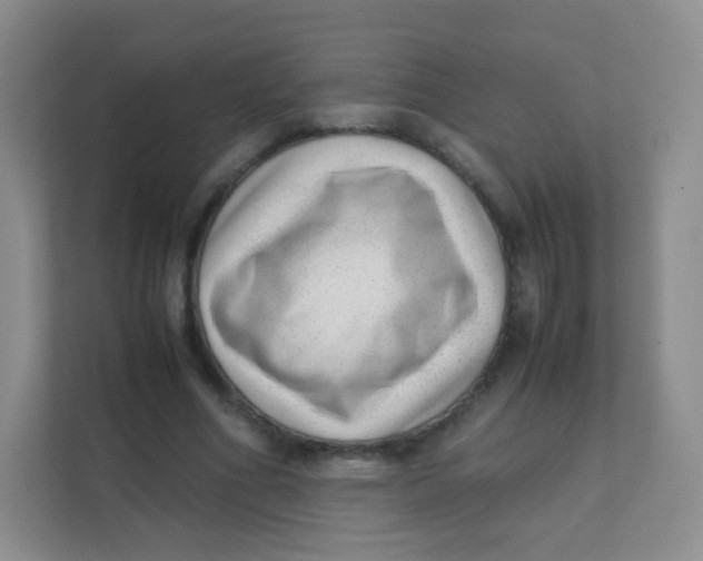 X0000111390586200907311115