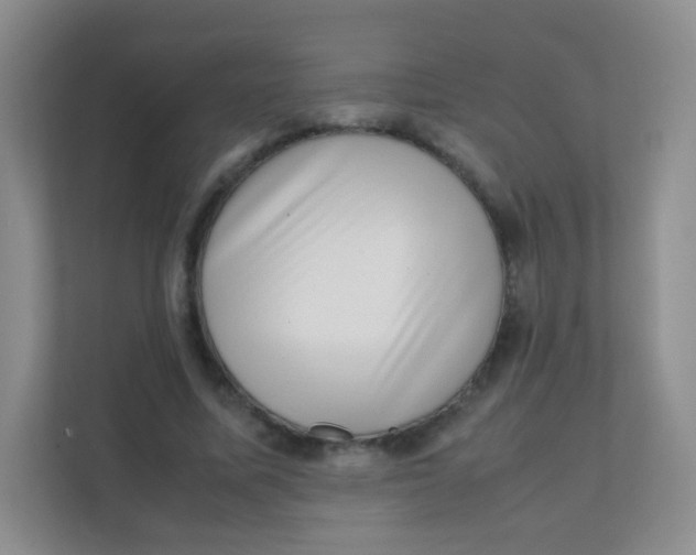 X0000111390587200907311115