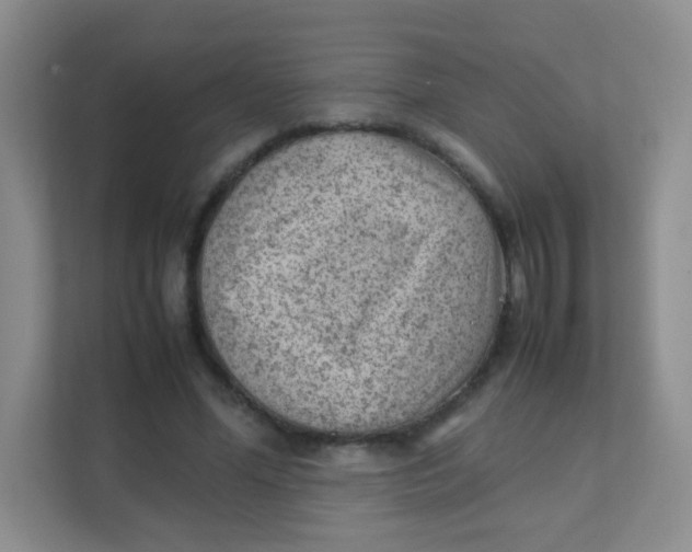 X0000111390588200907311115