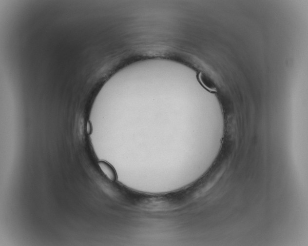 X0000111390589200907311115