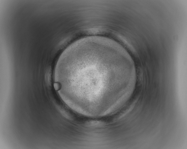 X0000111390590200907311115