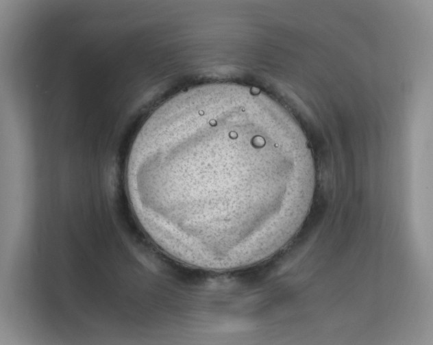 X0000111390591200907311115