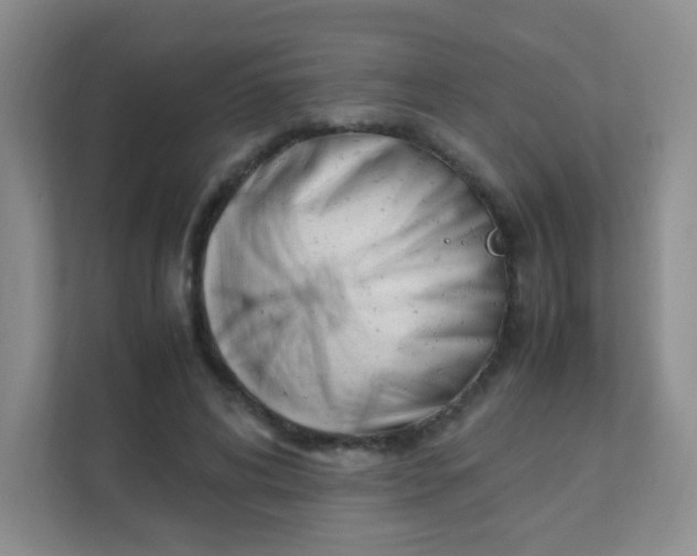 X0000111390592200907311115