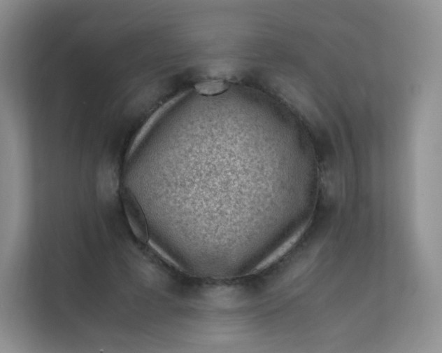 X0000111390593200907311115