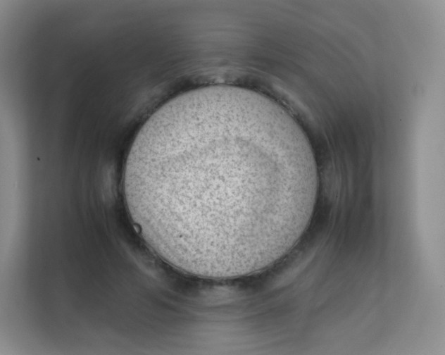 X0000111390594200907311115