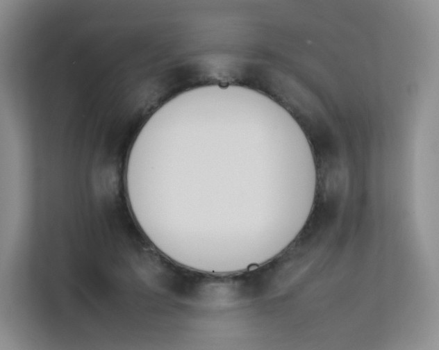 X0000111390595200907311115