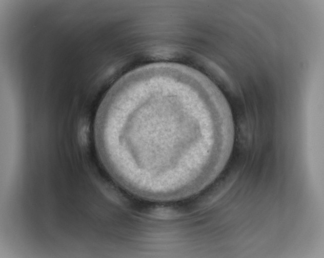 X0000111390596200907311115