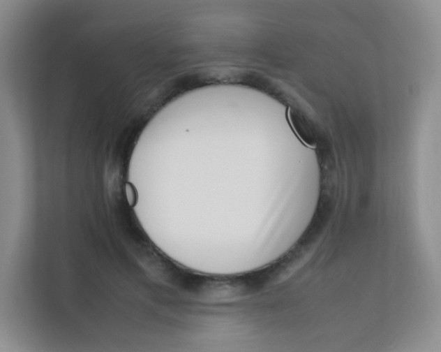 X0000111390597200907311115