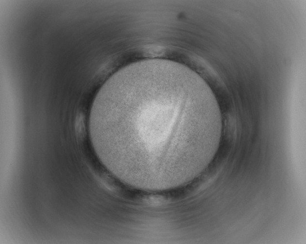 X0000111390598200907311115