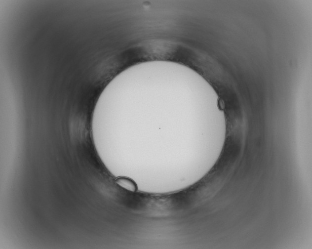 X0000111390599200907311115