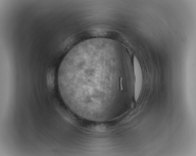 X0000111390600200907311115