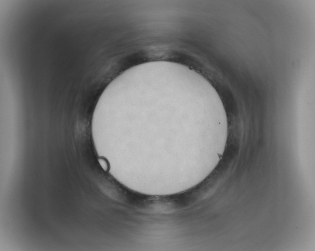 X0000111390601200907311115