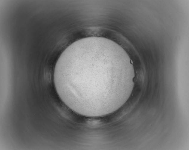 X0000111390602200907311115