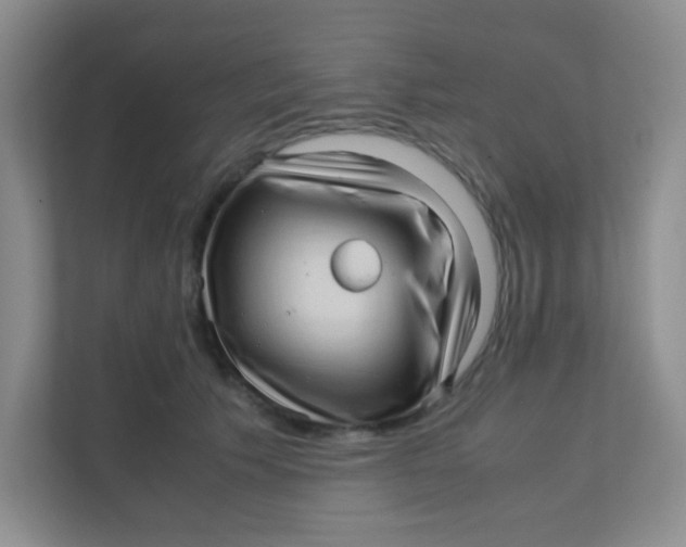 X0000111390609200907311115