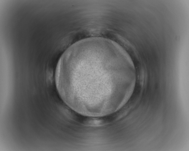 X0000111390610200907311115