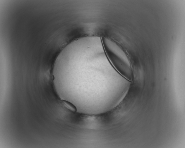 X0000111390611200907311115