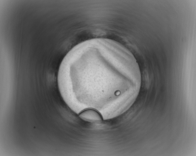 X0000111390614200907311115