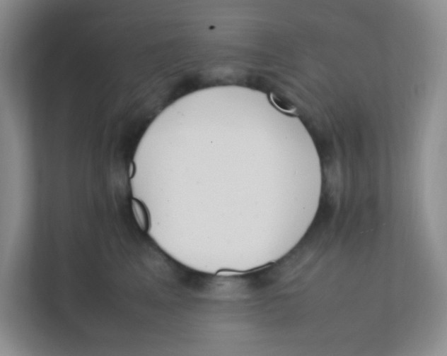 X0000111390617200907311115