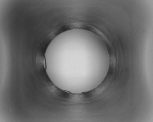 X0000111390621200907311115