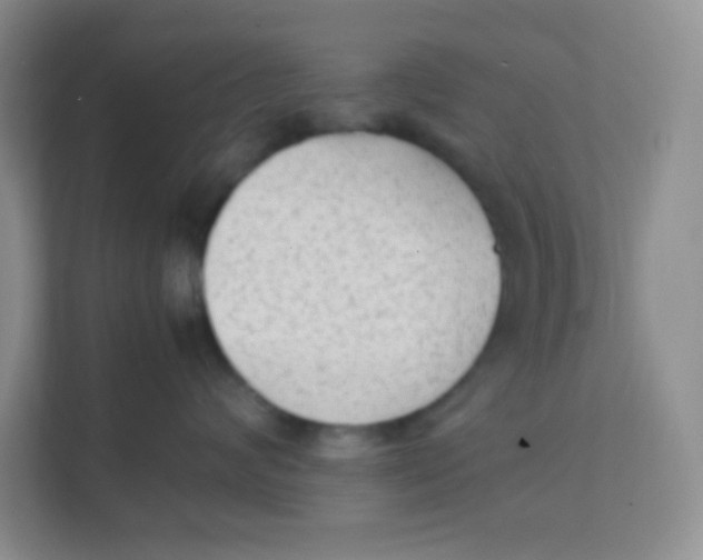 X0000111390624200907311115