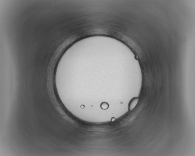 X0000111390625200907311114