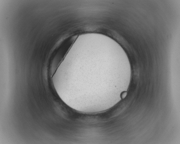 X0000111390626200907311114