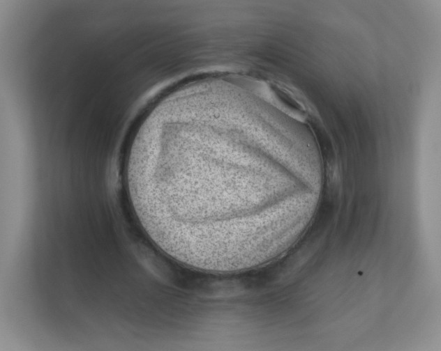 X0000111390628200907311114